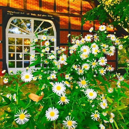 Münsterland Cottage-2